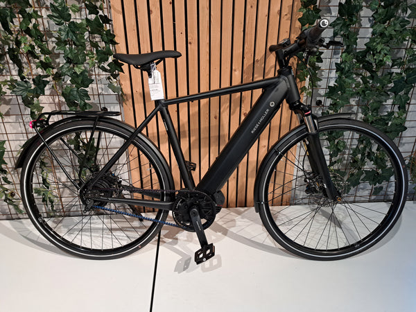 Roadster Vario 625Wh Purion Display