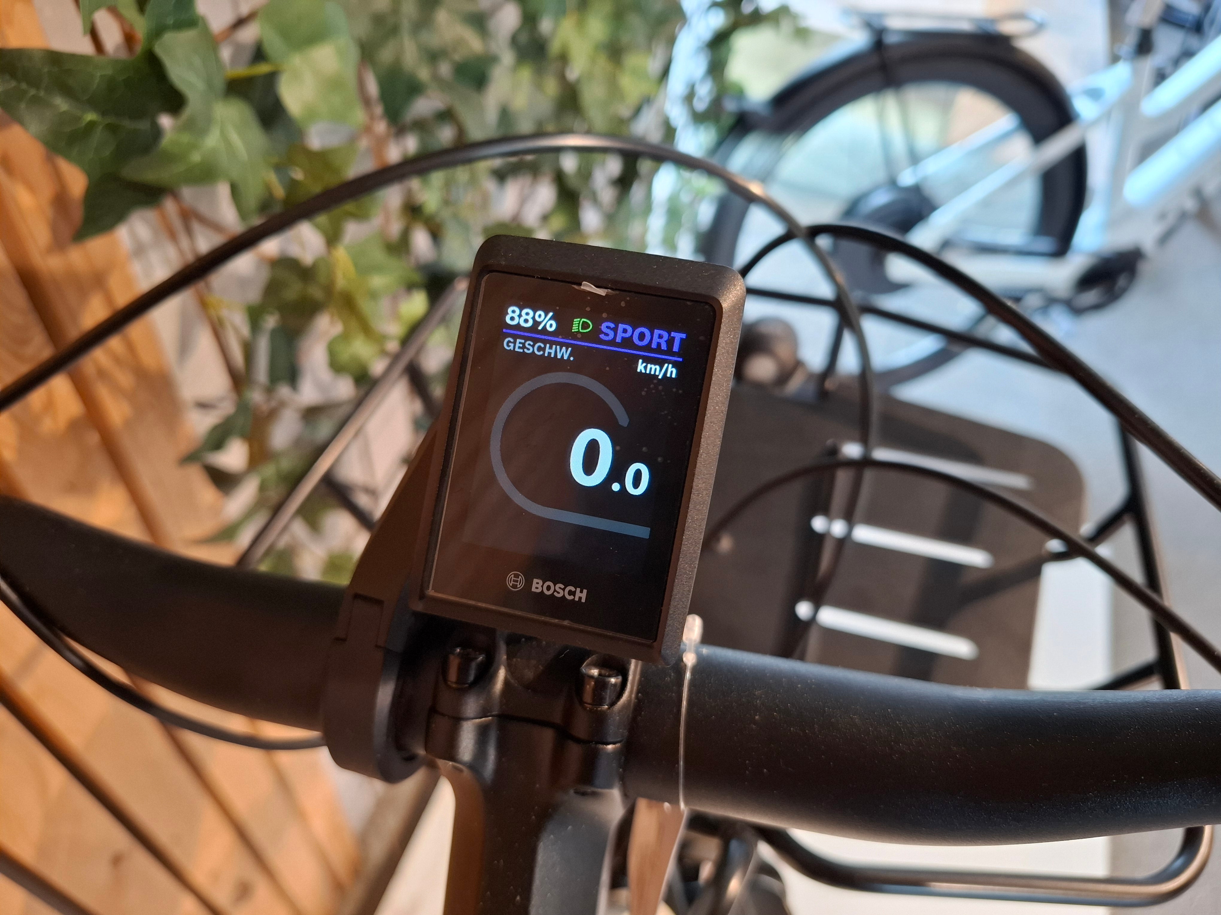 Riese & Muller Cruiser 2 Mixte Vario 545 Wh