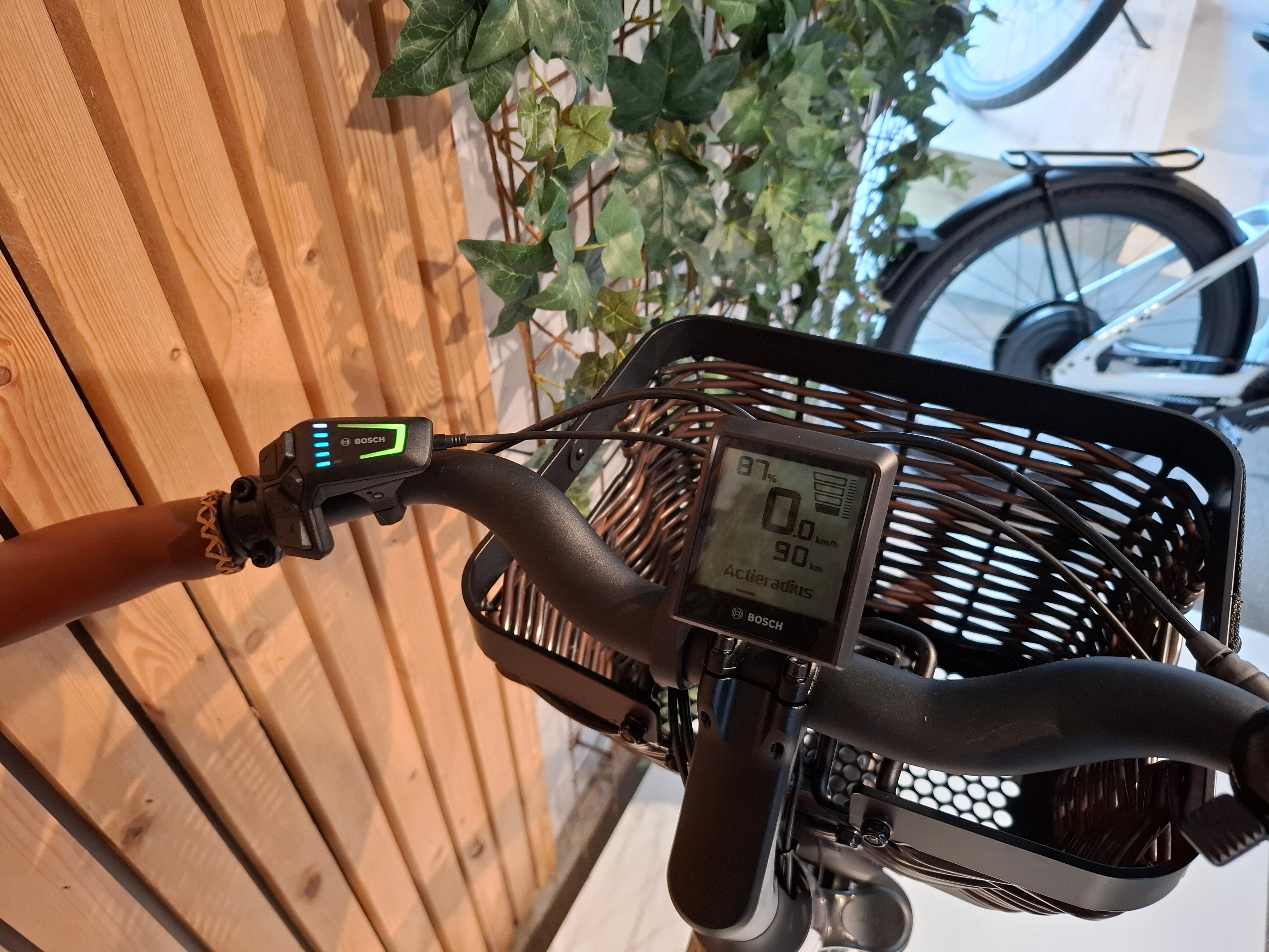 Riese & Muller Swing 4 Silent 500 Wh