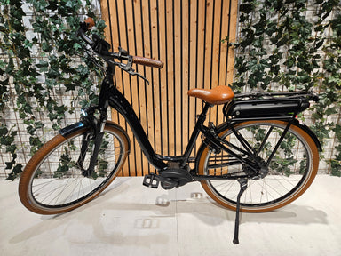 Riese & Müller Swing4 Automatic