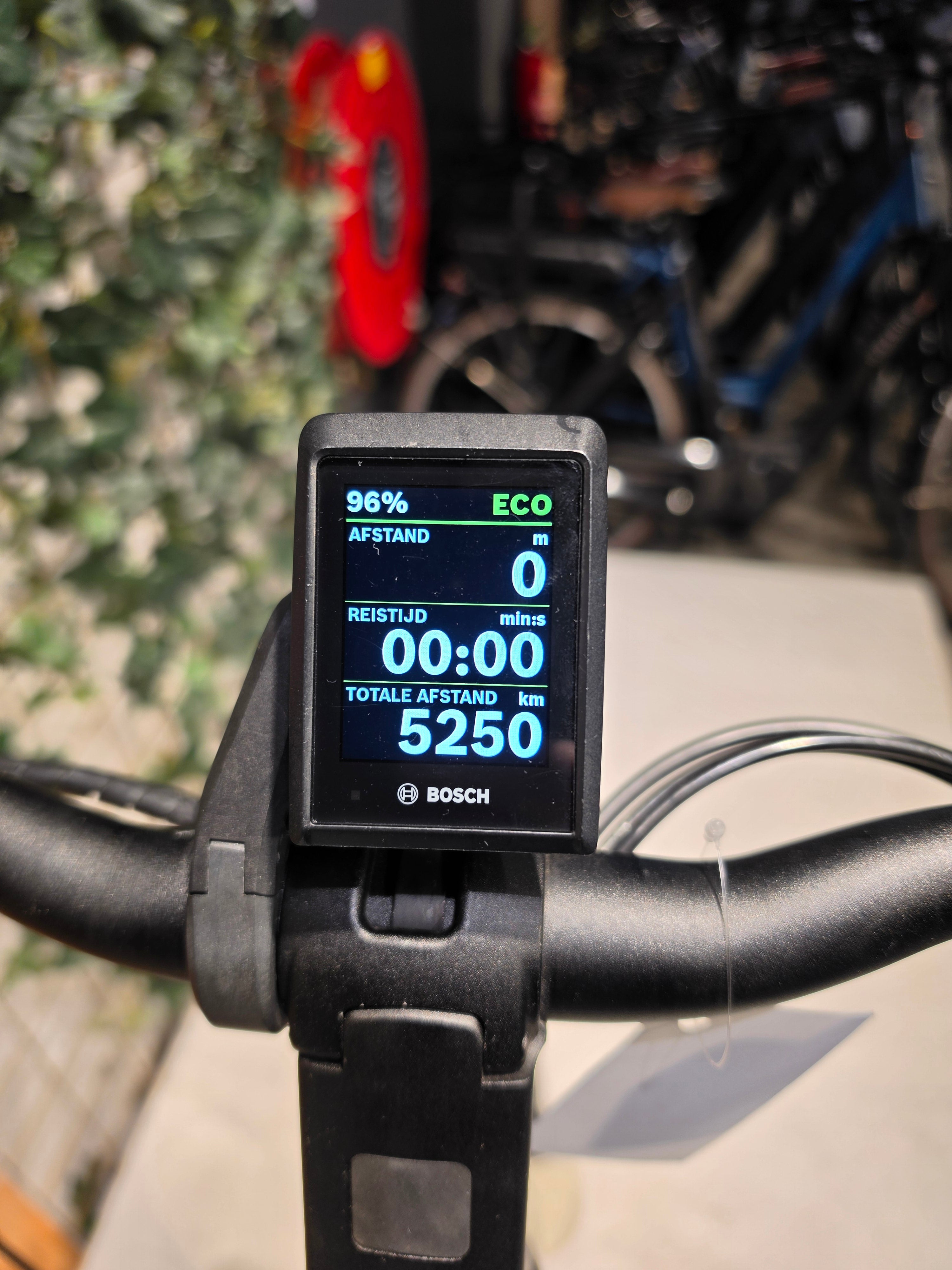 Koga Evia Pro