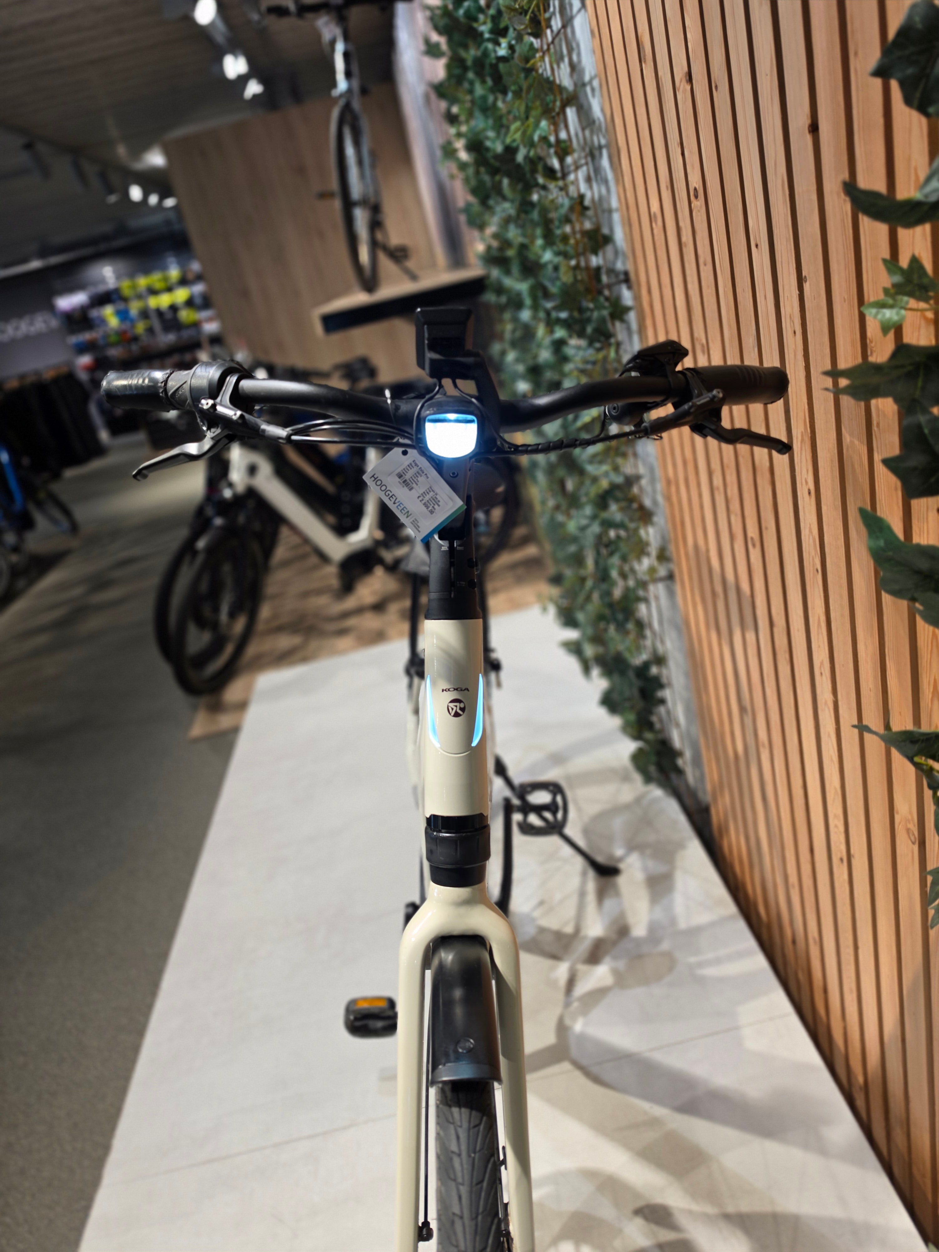 Koga Evia Pro