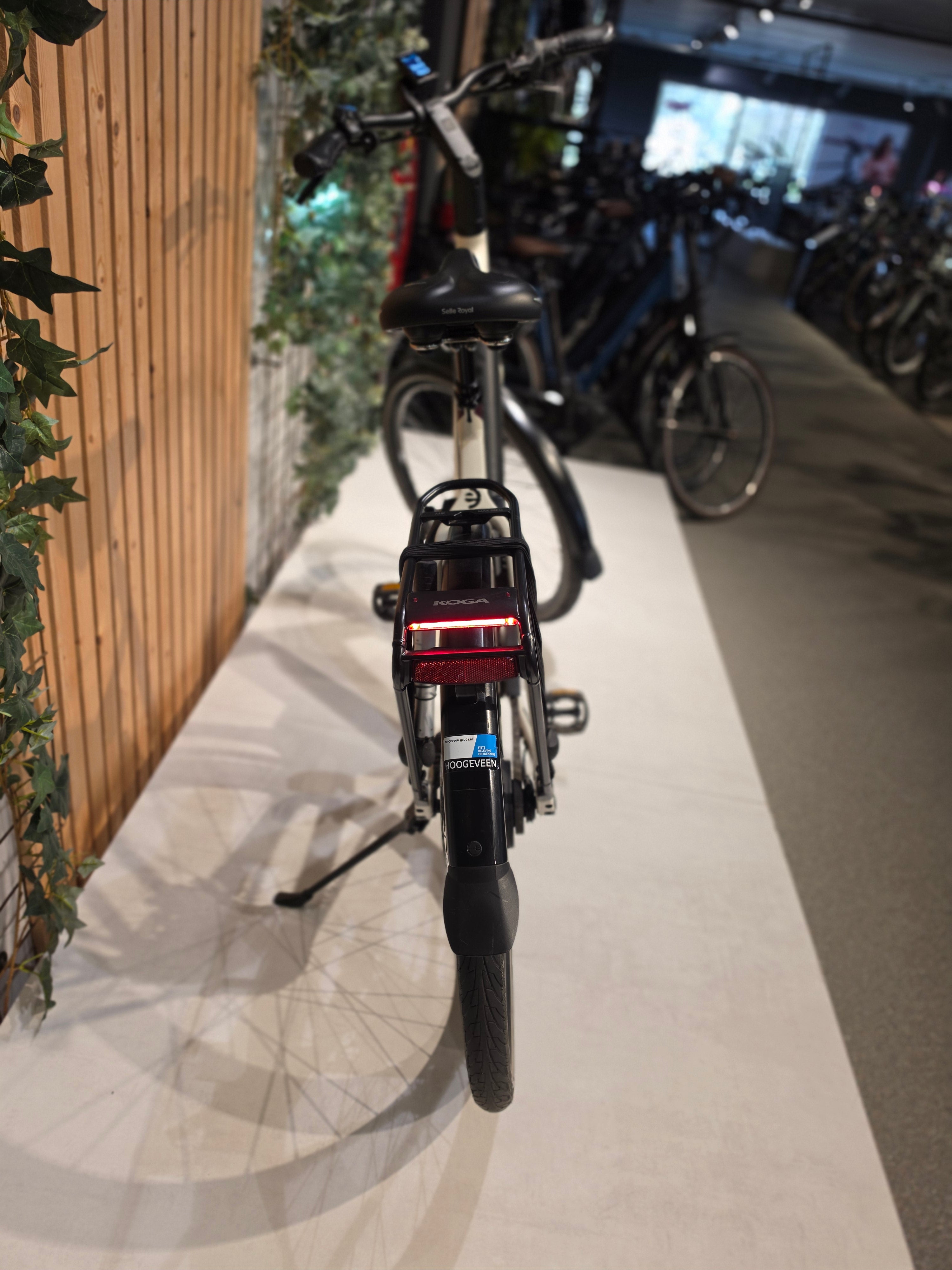 Koga Evia Pro