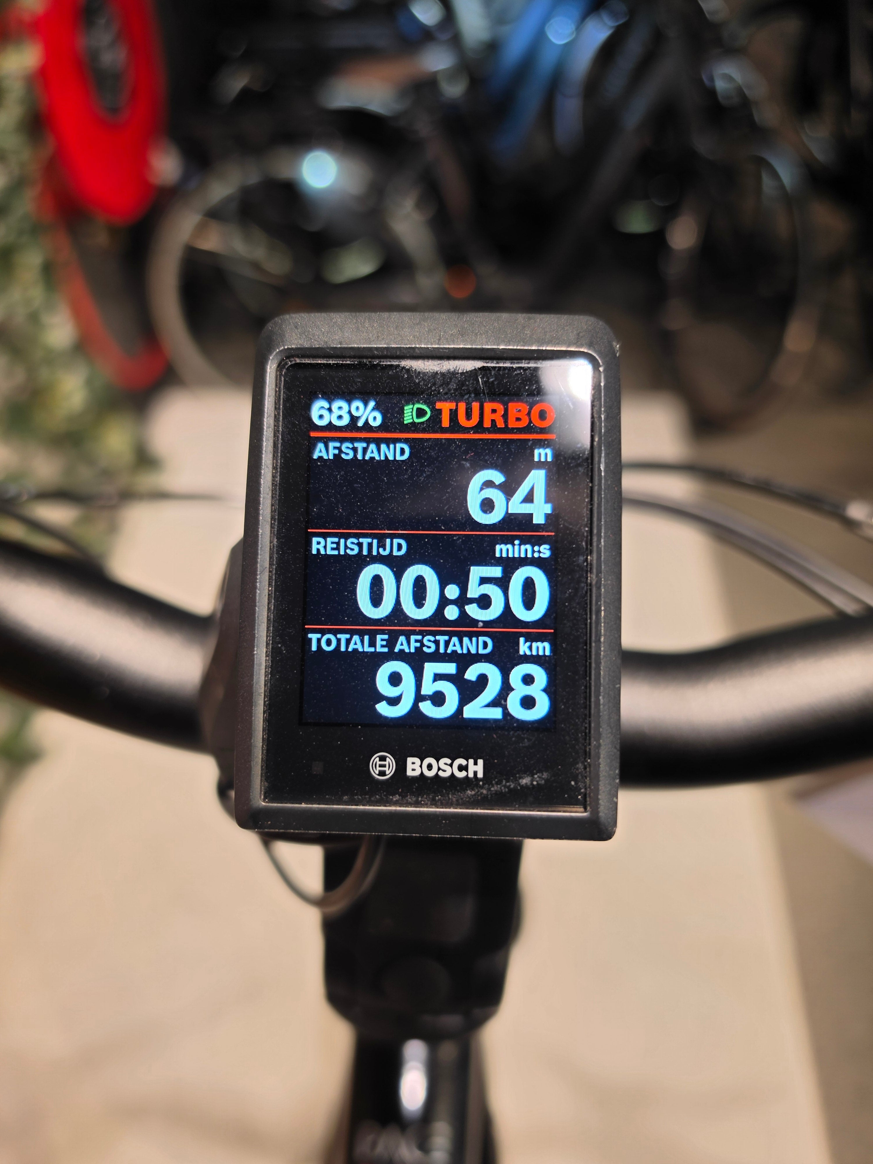 Koga Pace B10