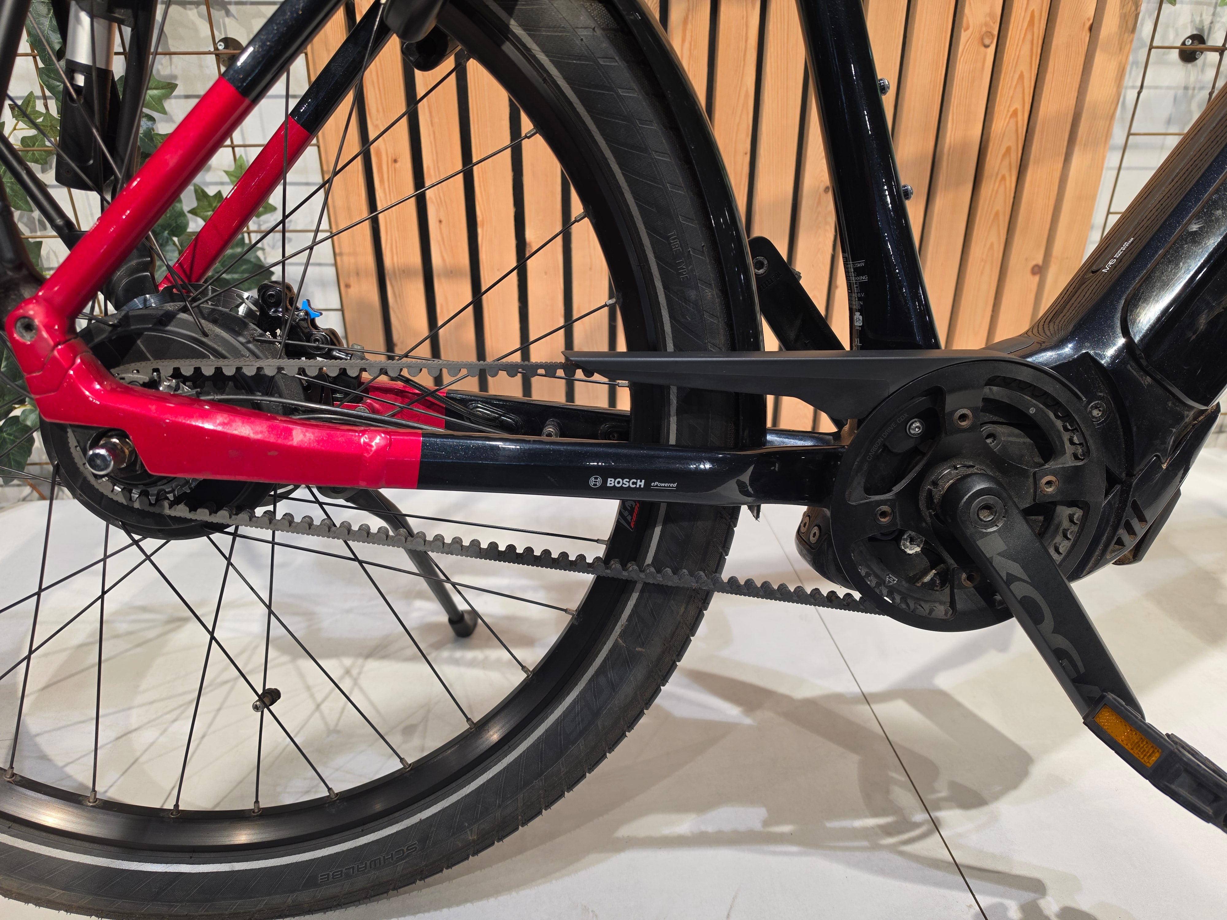 Koga Pace B10