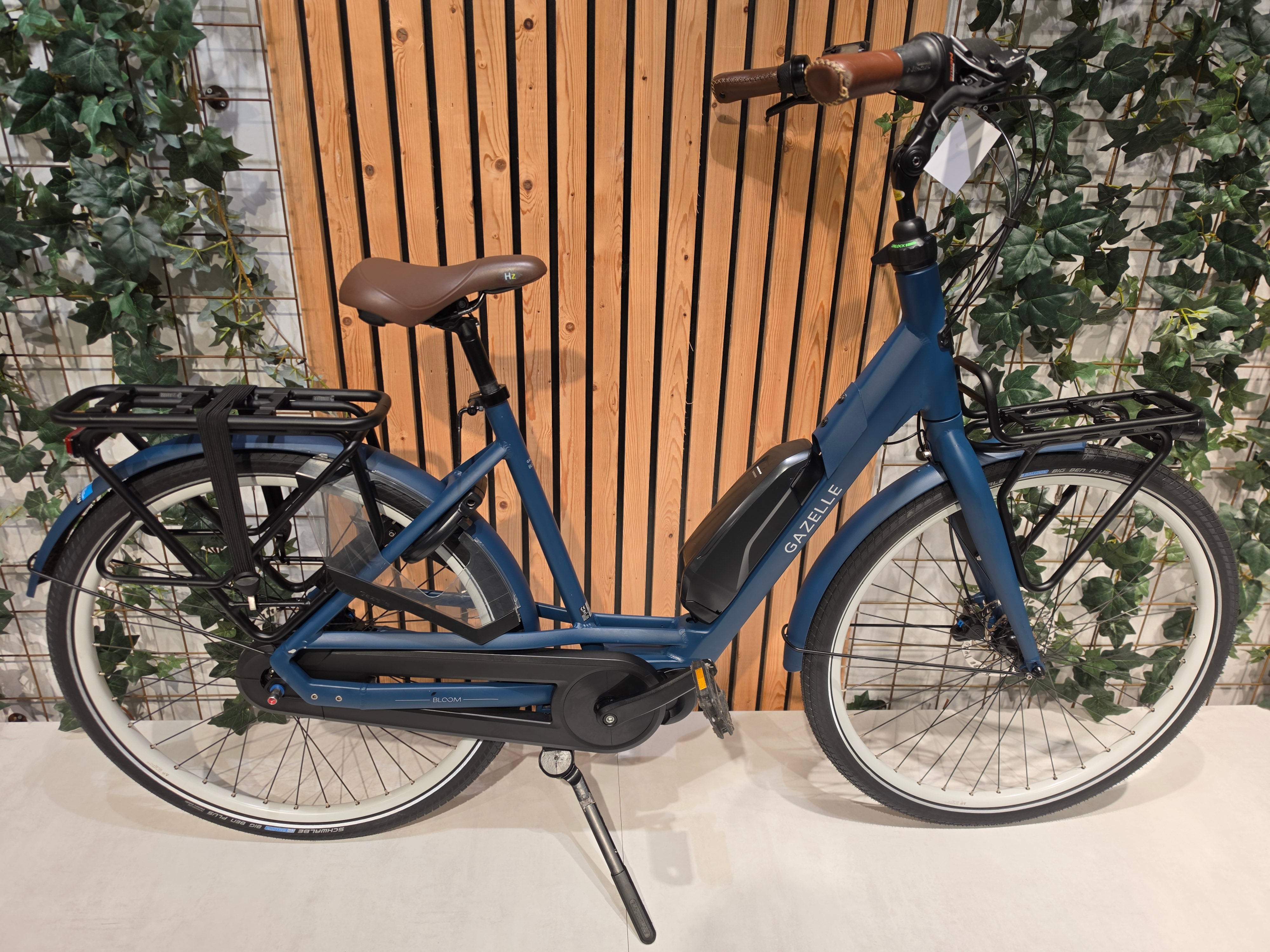 Gazelle Bloom C7