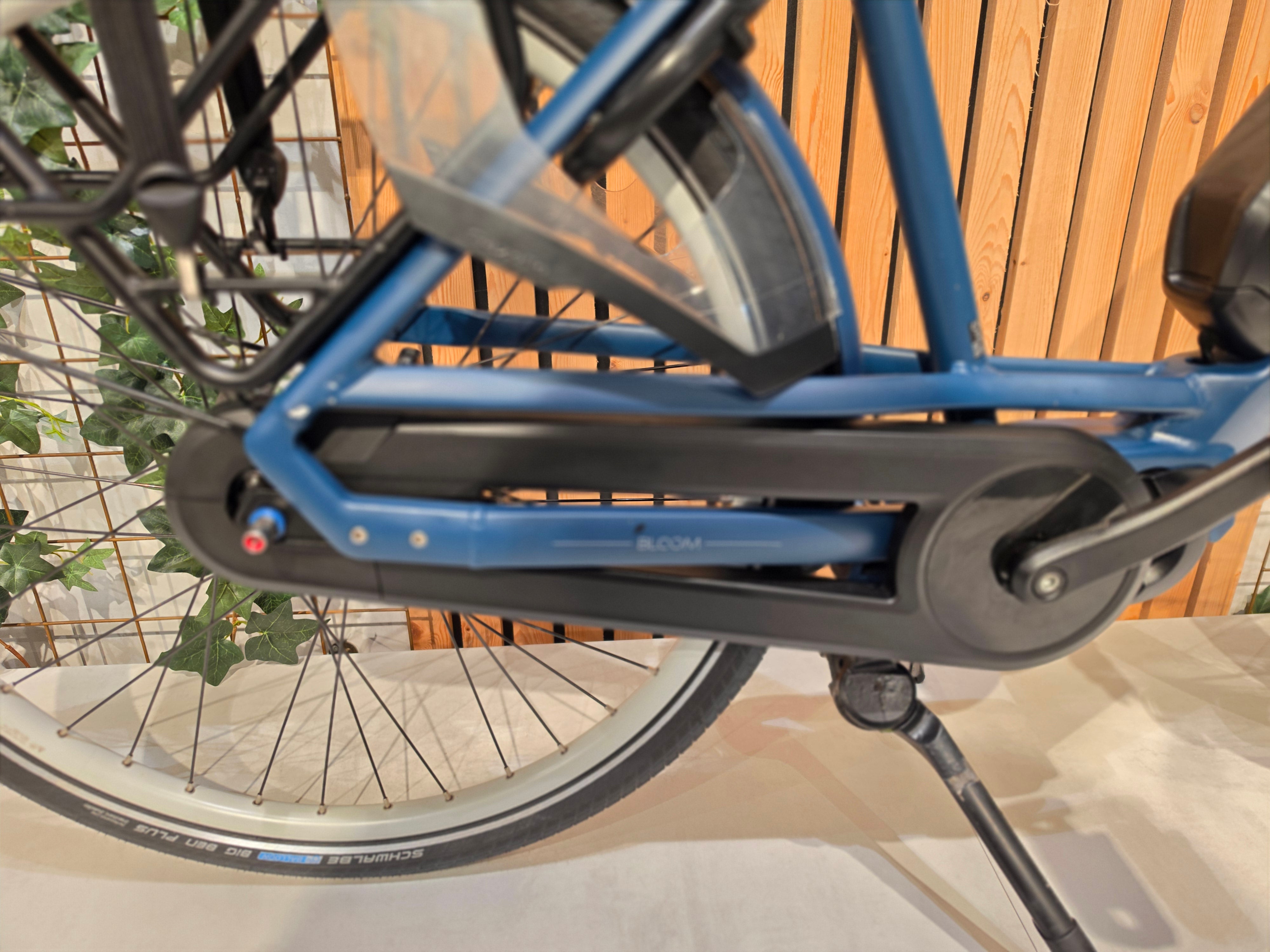 Gazelle Bloom C7