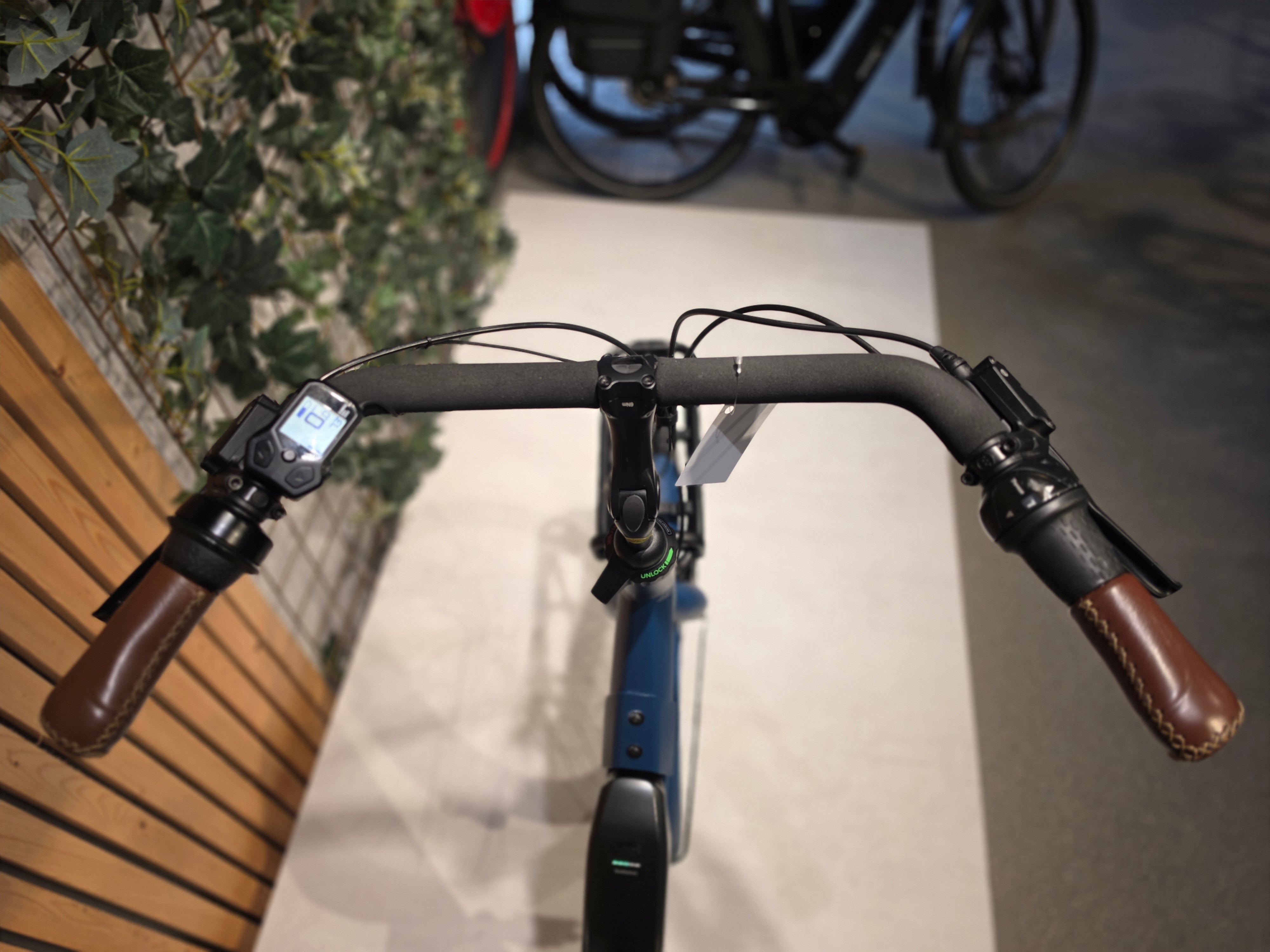 Gazelle Bloom C7