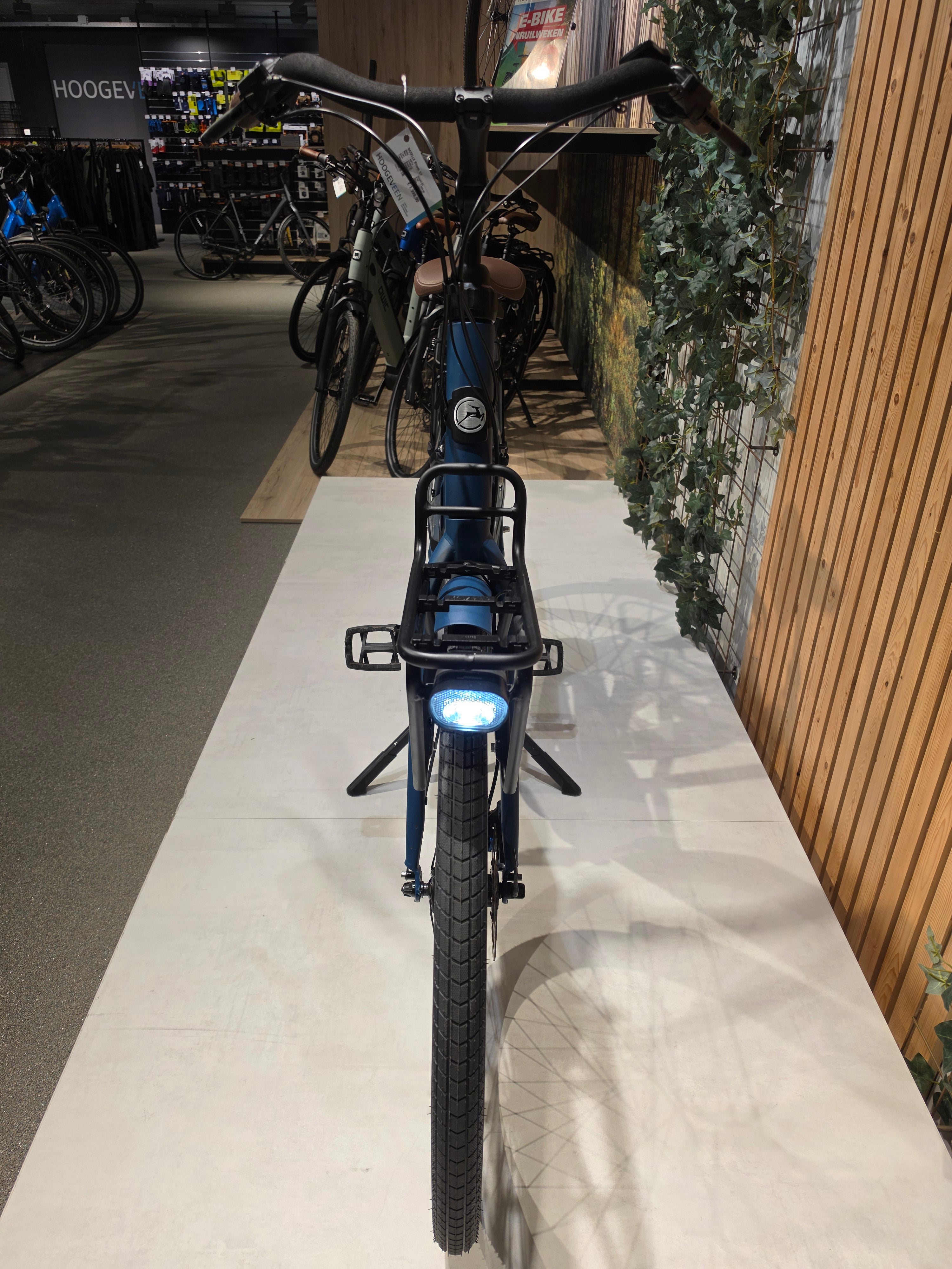 Gazelle Bloom C7