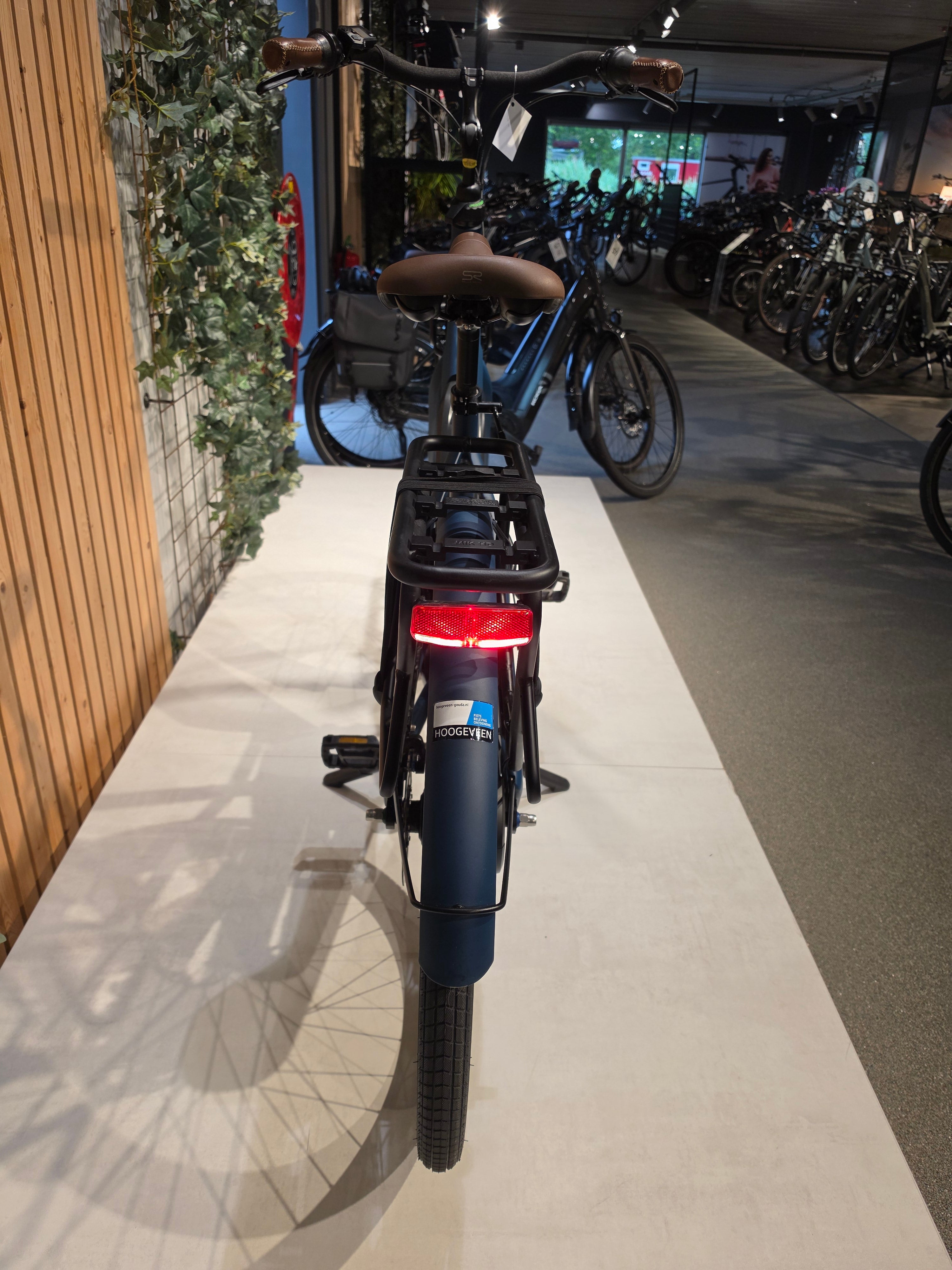 Gazelle Bloom C7