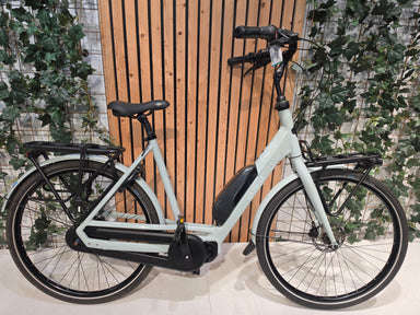 Gazelle Bloom C7