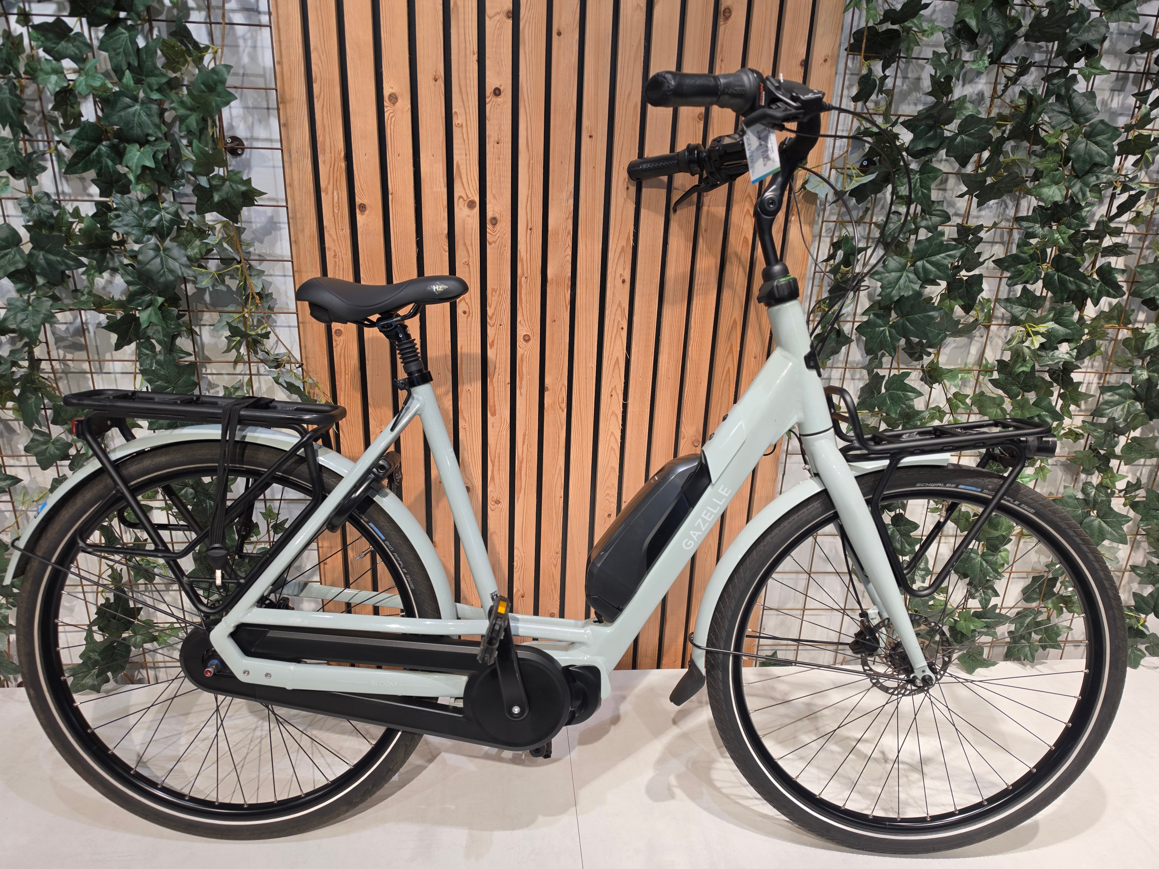 Gazelle Bloom C7