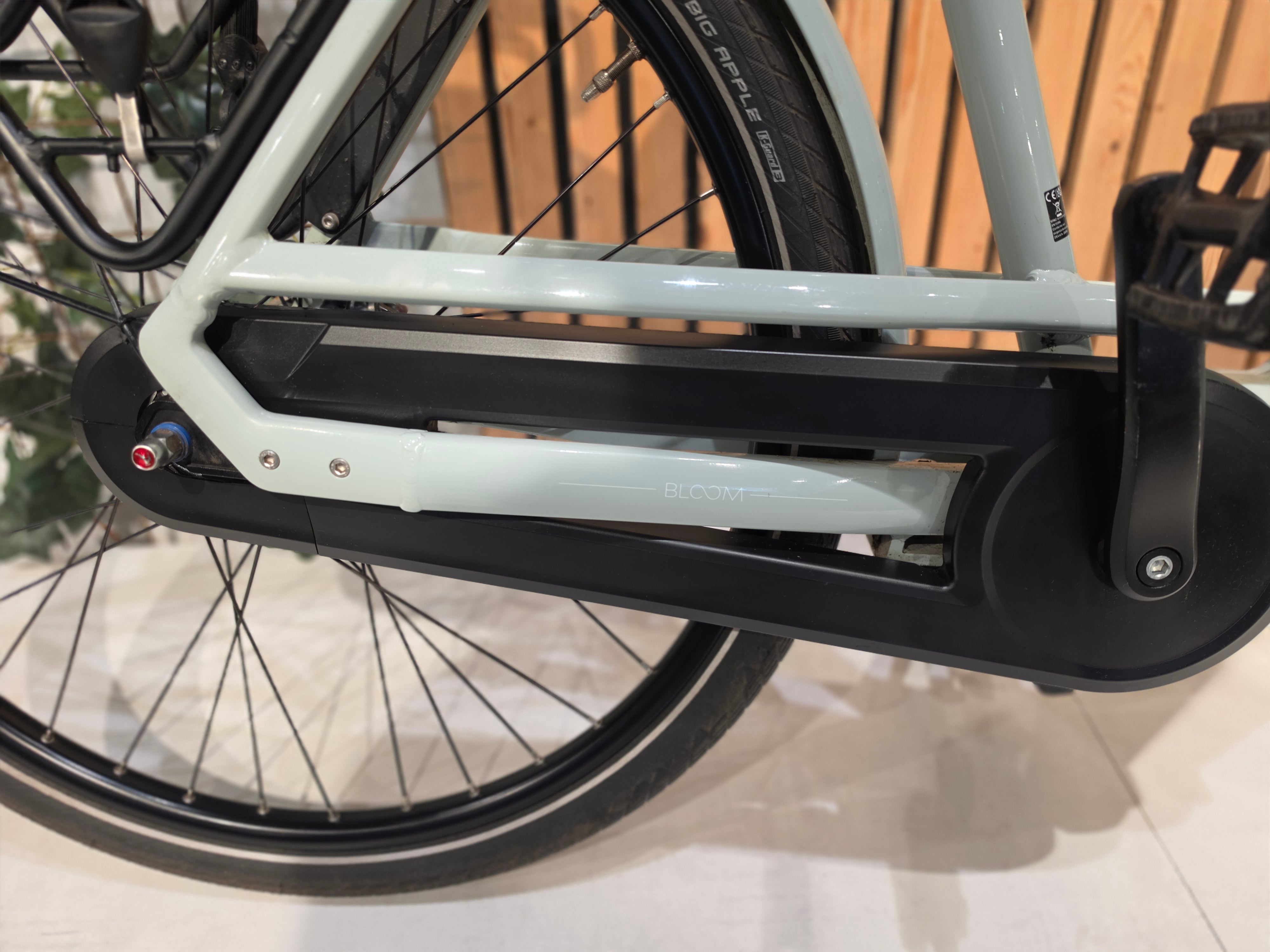 Gazelle Bloom C7