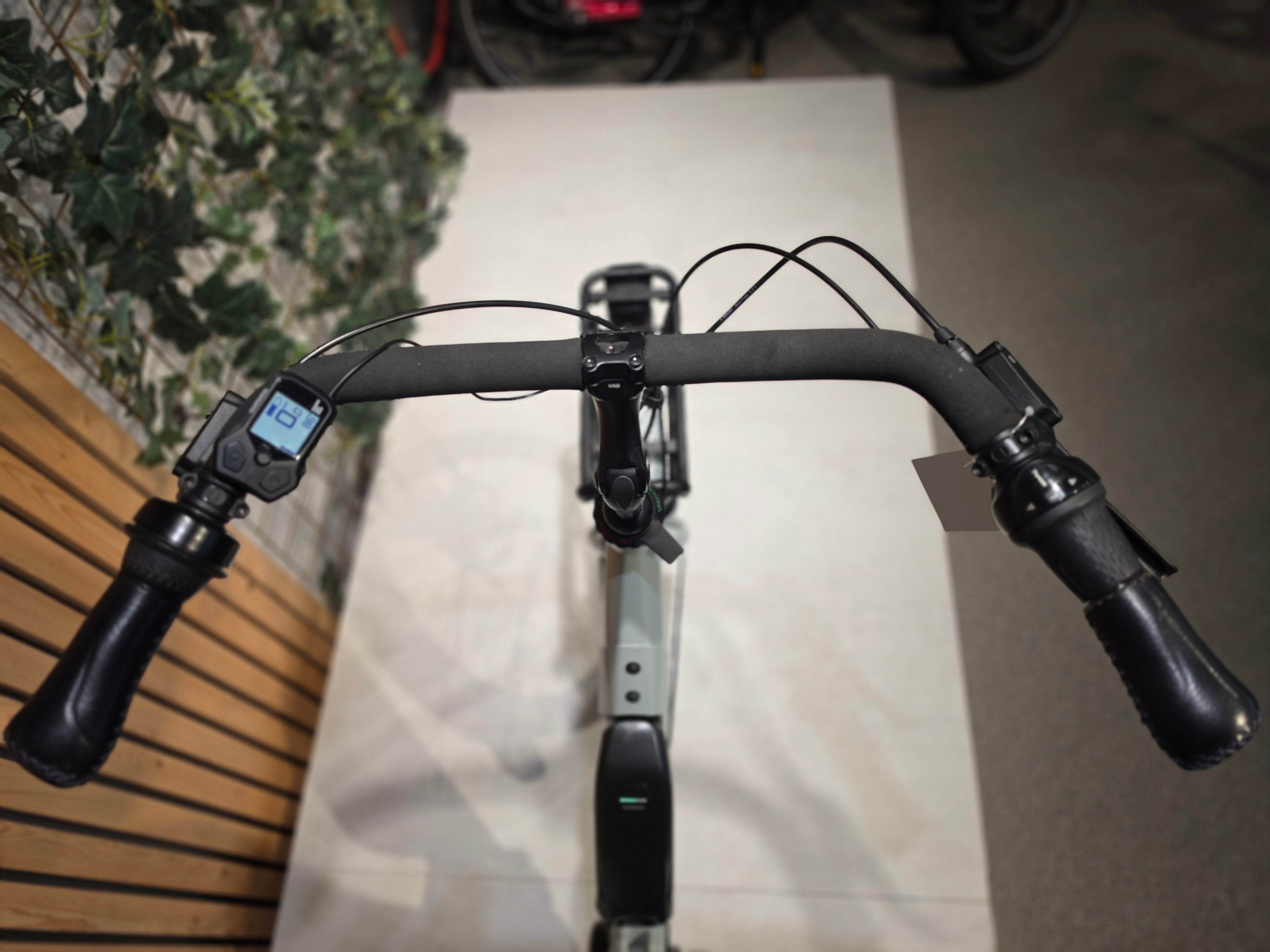 Gazelle Bloom C7
