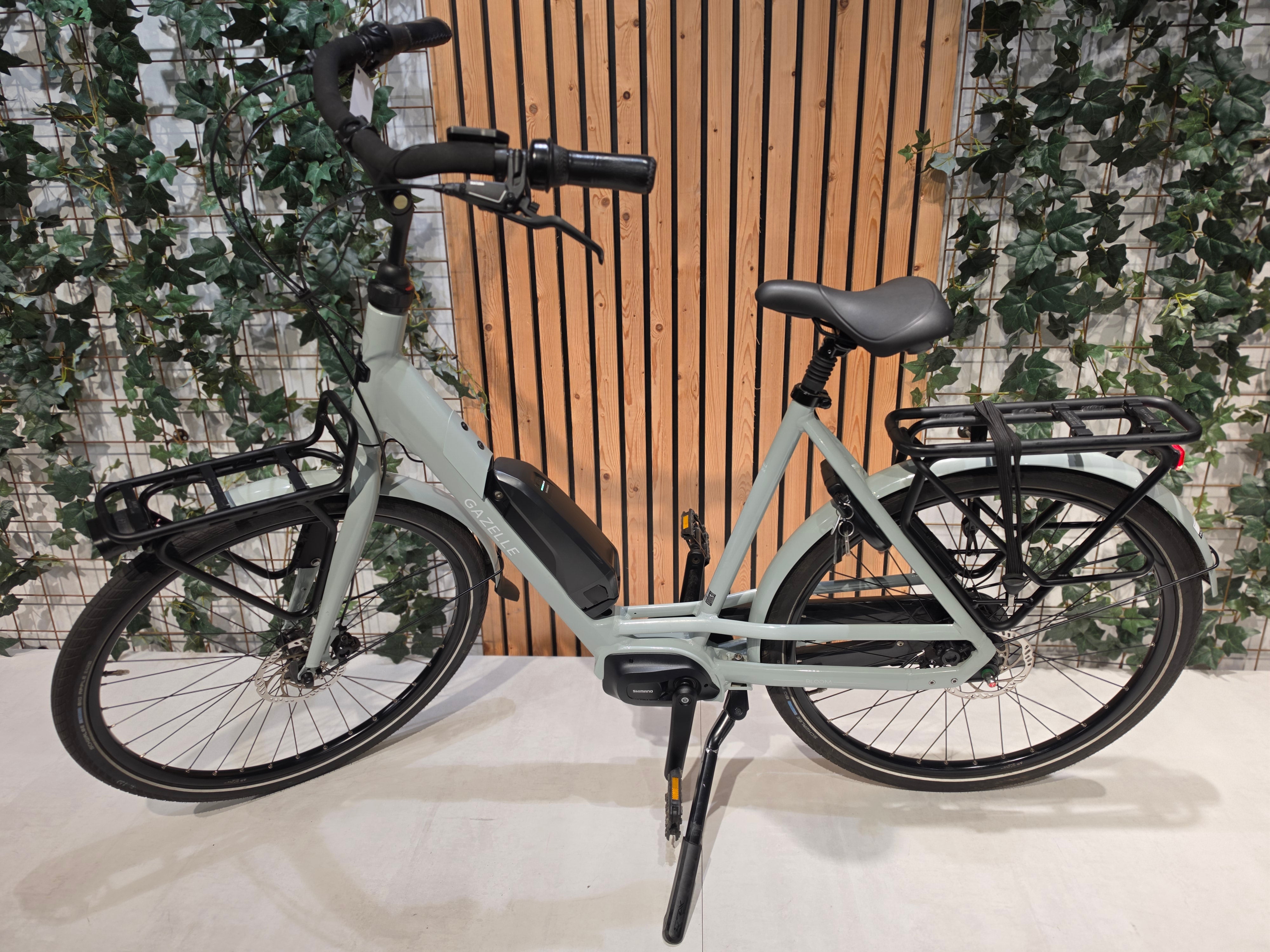 Gazelle Bloom C7