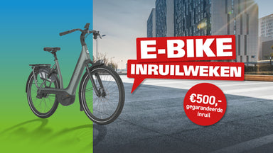 Voorwaarden E-bike Inruilweken