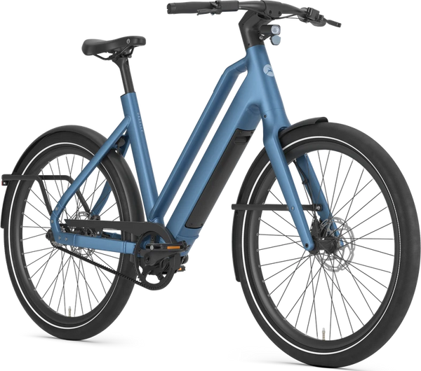Gazelle Cayo C1