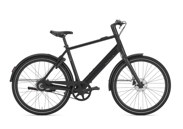 Gazelle Curb C1