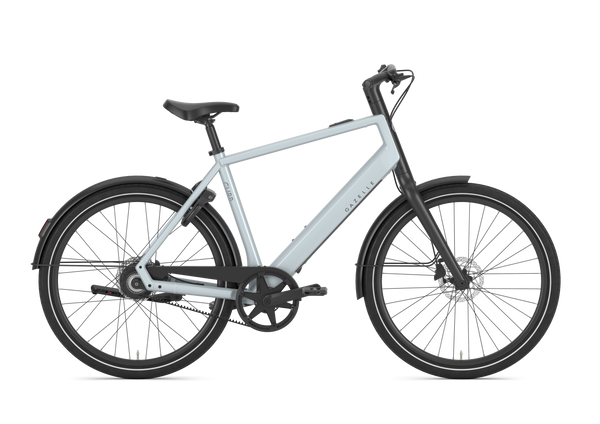 Gazelle Curb C1