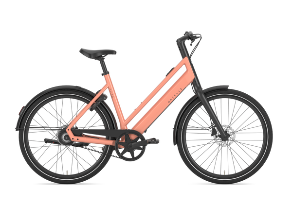 Gazelle Curb C1