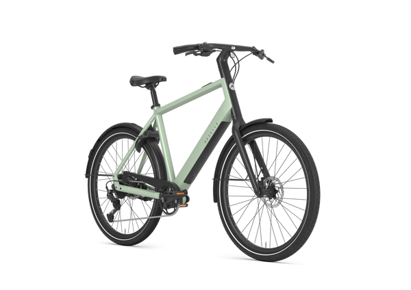 Gazelle Curb T9
