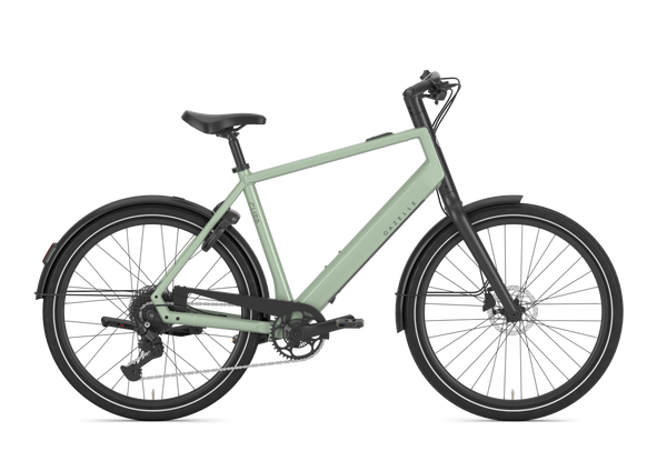 Gazelle Curb T9