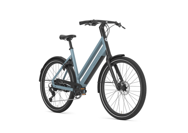 Gazelle Curb T9