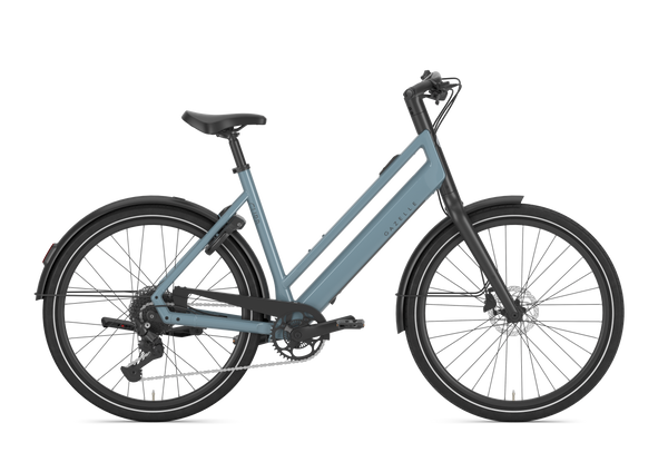 Gazelle Curb T9