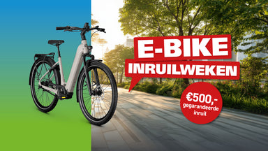Voorwaarden E-bike Inruilweken