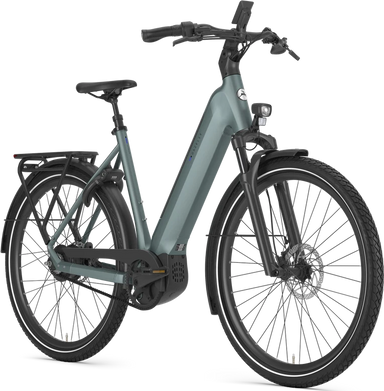 Gazelle Ultimate C380