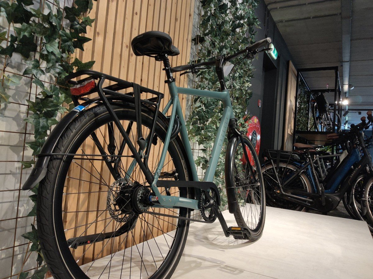 Gazelle Chamonix S8