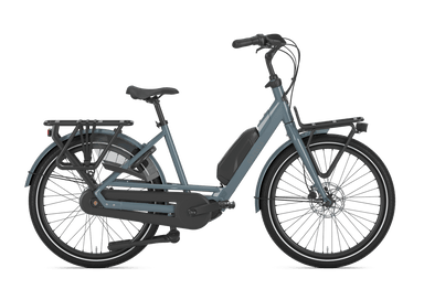 Gazelle Bloom C7''26