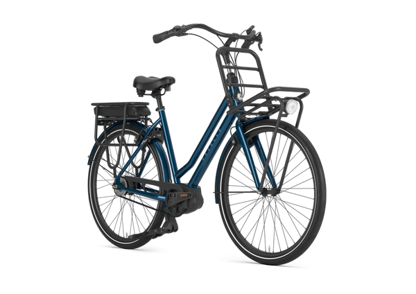 Gazelle HeavyDutyNL C5