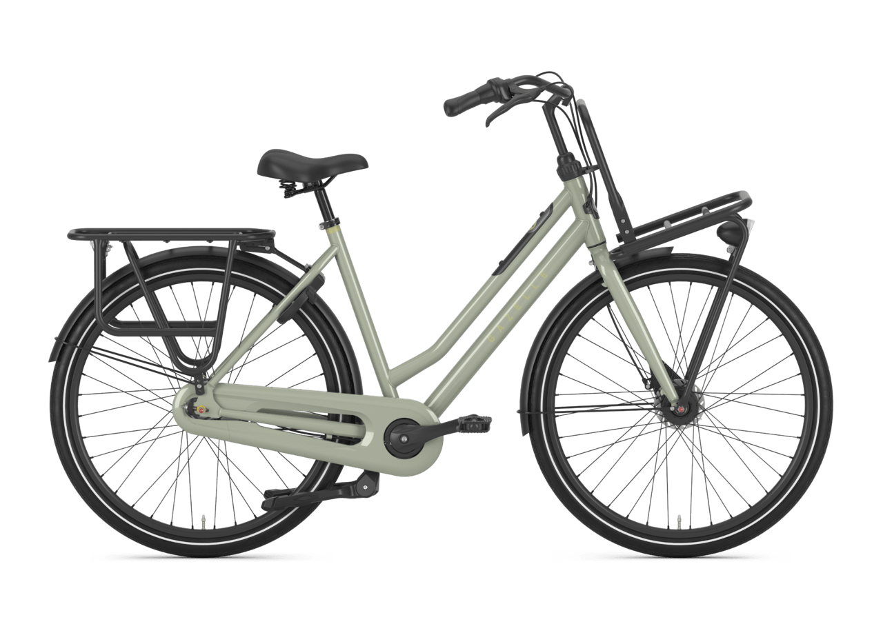 Actief Verbinding aftrekken Gazelle HeavyDutyNL — Hoogeveen fietsen